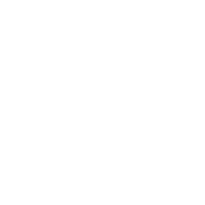 Finanzierung Icon